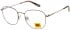 CAT CTO-3070 glasses in Brown