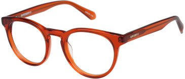 Superdry SDO-3038 glasses in Dark Orange
