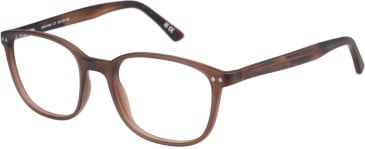 Hero HRO-4343 glasses in Brown