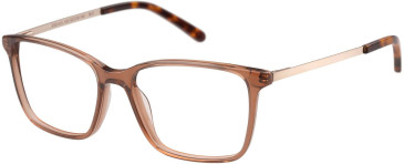 SFE-11491 glasses in Brown