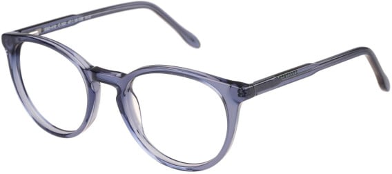 SFE-11492 glasses in Blue