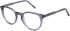 SFE-11492 glasses in Blue
