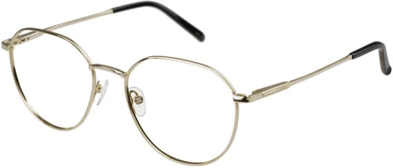 SFE-11493 glasses in Gold