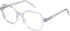 SFE-11496 glasses in Blue