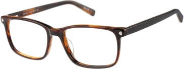 SFE-11487 glasses in Tort