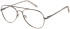 SFE-11488 glasses in Grey