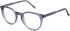 SFE-11492 glasses in Blue