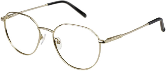 SFE-11493 glasses in Gold