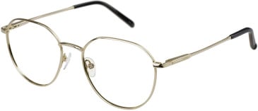 SFE-11493 glasses in Gold