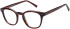 SFE-11497 glasses in Tort