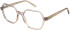SFE-11496 glasses in Brown