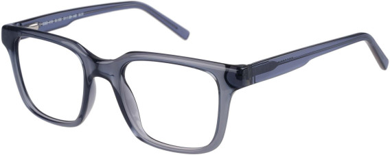 SFE-11495 glasses in Clear Grey