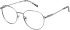SFE-11493 glasses in Silver