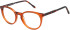 SFE-11492 glasses in Orange