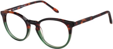 SFE-11492 glasses in Tort/Green