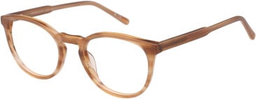 SFE-11490 glasses in Brown