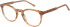 SFE-11490 glasses in Brown
