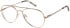 SFE-11488 glasses in Rose Gold