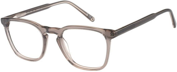 SFE-11486 glasses in Grey