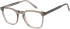 SFE-11486 glasses in Grey