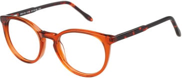 SFE-11492 glasses in Orange