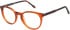 SFE-11492 glasses in Orange
