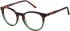 SFE-11492 glasses in Tort/Green