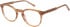 SFE-11490 glasses in Brown