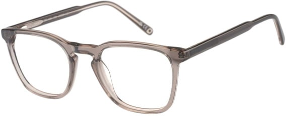 SFE-11486 glasses in Grey