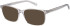 SFE-11487 sunglasses in Clear