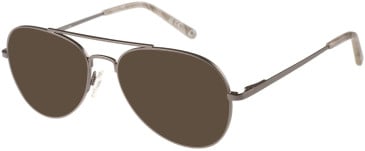 SFE-11488 sunglasses in Grey