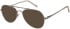 SFE-11488 sunglasses in Grey