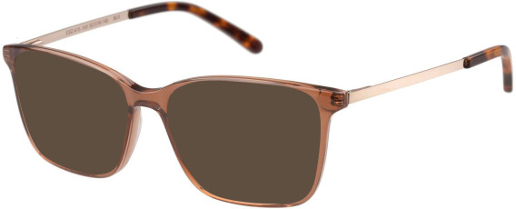 SFE-11491 sunglasses in Brown