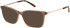SFE-11491 sunglasses in Brown