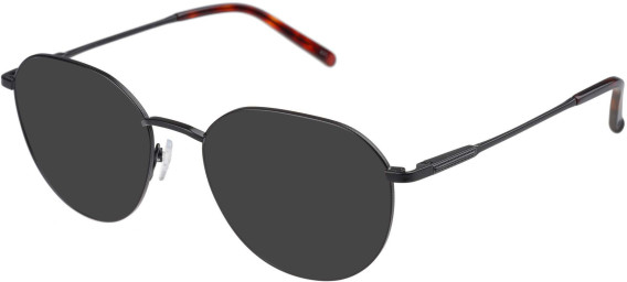 SFE-11493 sunglasses in Black
