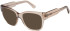 SFE-11494 sunglasses in Clear Brown