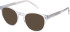 SFE-11497 sunglasses in Blue