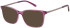 SFE-11491 sunglasses in Purple