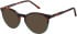 SFE-11492 sunglasses in Tort/Green