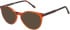 SFE-11492 sunglasses in Orange
