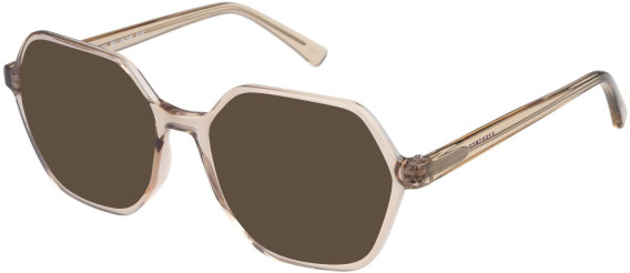 SFE-11496 sunglasses in Brown
