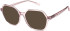 SFE-11496 sunglasses in Pink