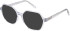 SFE-11496 sunglasses in Blue