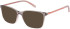 SFE-11491 sunglasses in Pink