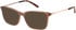 SFE-11491 sunglasses in Brown