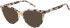 SFE-11489 sunglasses in Cream Tort