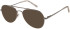 SFE-11488 sunglasses in Grey