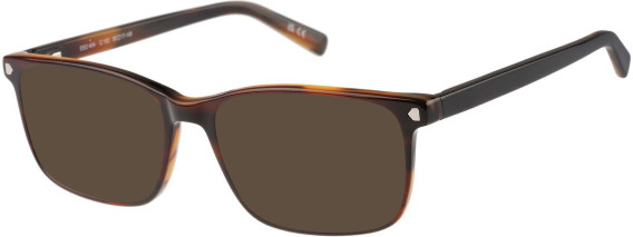 SFE-11487 sunglasses in Tort