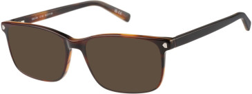 SFE-11487 sunglasses in Tort