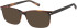 SFE-11487 sunglasses in Tort